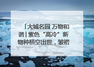 大城名园 万物和谐│紫色“高冷”新物种横空出世，皱褶叶片暗藏进化密码