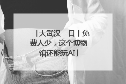 大武汉一日丨免费人少，这个博物馆还能玩AI
