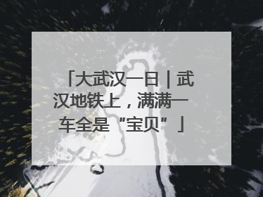 大武汉一日｜武汉地铁上，满满一车全是“宝贝”