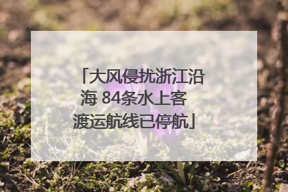大风侵扰浙江沿海 84条水上客渡运航线已停航