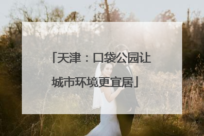 天津：口袋公园让城市环境更宜居