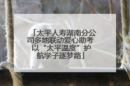 太平人寿湖南分公司多地联动爱心助考 以“太平温度”护航学子逐梦路