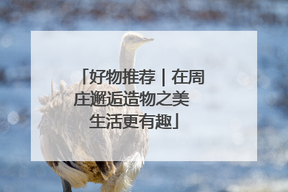 好物推荐｜在周庄邂逅造物之美 生活更有趣