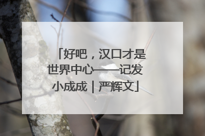 好吧，汉口才是世界中心——记发小成成｜严辉文