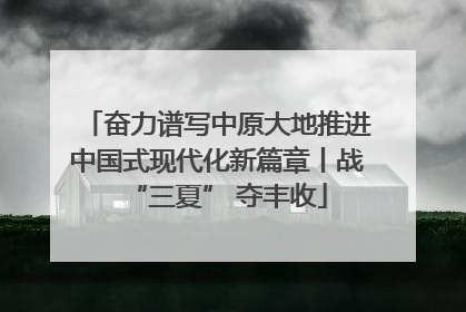 奋力谱写中原大地推进中国式现代化新篇章丨战“三夏” 夺丰收