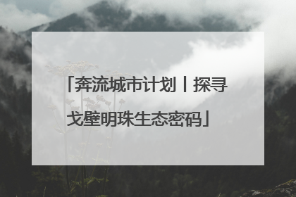 奔流城市计划丨探寻戈壁明珠生态密码