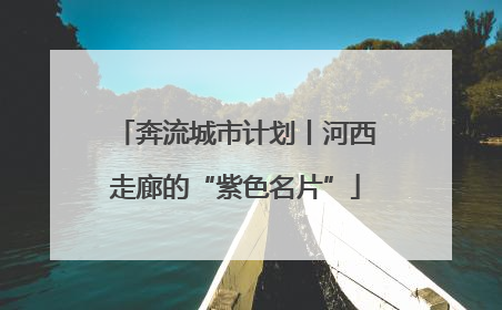 奔流城市计划丨河西走廊的“紫色名片”