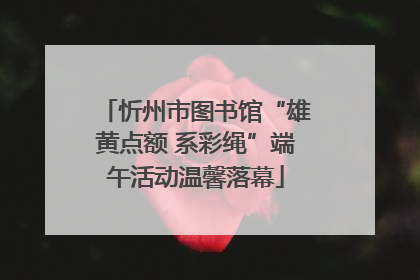 忻州市图书馆“雄黄点额 系彩绳”端午活动温馨落幕