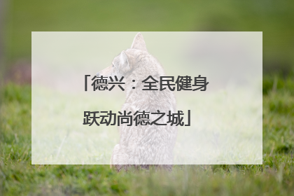 德兴：全民健身跃动尚德之城