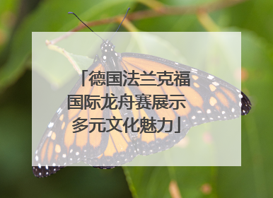 德国法兰克福国际龙舟赛展示多元文化魅力