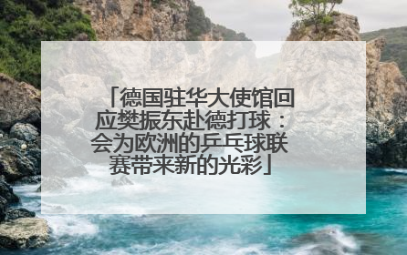 德国驻华大使馆回应樊振东赴德打球：会为欧洲的乒乓球联赛带来新的光彩