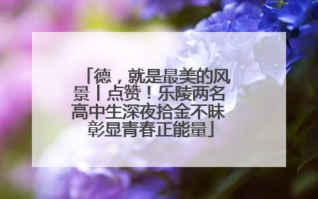 德，就是最美的风景丨点赞！乐陵两名高中生深夜拾金不昧 彰显青春正能量
