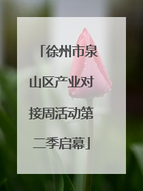 徐州市泉山区产业对接周活动第二季启幕