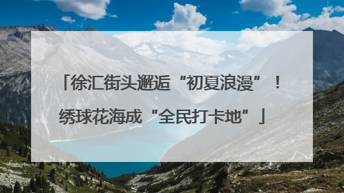徐汇街头邂逅“初夏浪漫”！绣球花海成“全民打卡地”