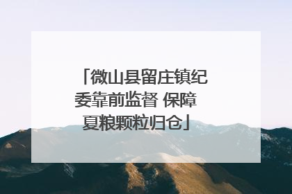 微山县留庄镇纪委靠前监督 保障夏粮颗粒归仓