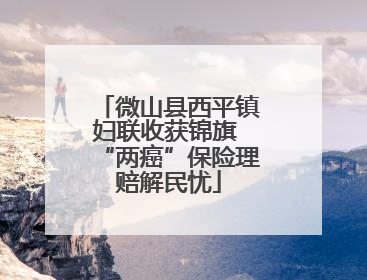 微山县西平镇妇联收获锦旗 “两癌”保险理赔解民忧