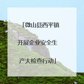 微山县西平镇开展企业安全生产大检查行动