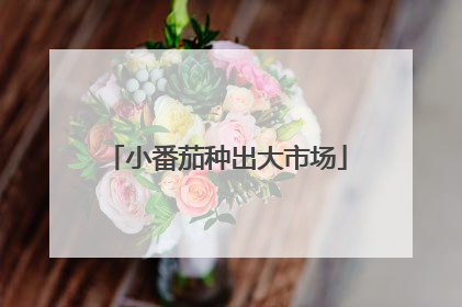 小番茄种出大市场