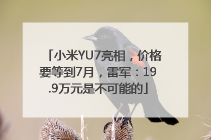 小米YU7亮相，价格要等到7月，雷军：19.9万元是不可能的