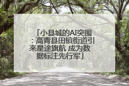 小县城的AI突围：高青县田镇街道引来星途旗航 成为数据标注先行军