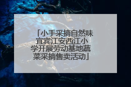 小手采摘自然味 宜宾江安西江小学开展劳动基地蔬菜采摘售卖活动