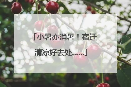 小暑亦消暑！宿迁清凉好去处……