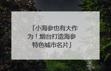 小海参也有大作为！烟台打造海参特色城市名片