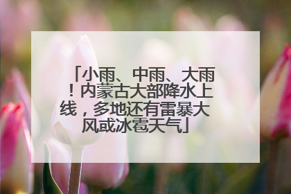 小雨、中雨、大雨！内蒙古大部降水上线，多地还有雷暴大风或冰雹天气