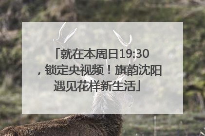 就在本周日19:30，锁定央视频！旗韵沈阳 遇见花样新生活