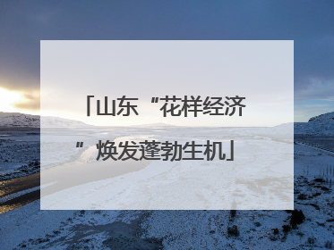 山东“花样经济”焕发蓬勃生机