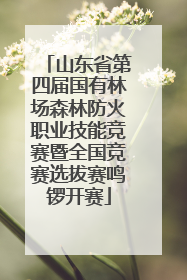 山东省第四届国有林场森林防火职业技能竞赛暨全国竞赛选拔赛鸣锣开赛