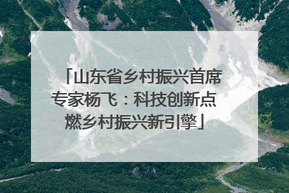 山东省乡村振兴首席专家杨飞：科技创新点燃乡村振兴新引擎