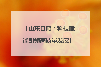 山东日照：科技赋能引领高质量发展