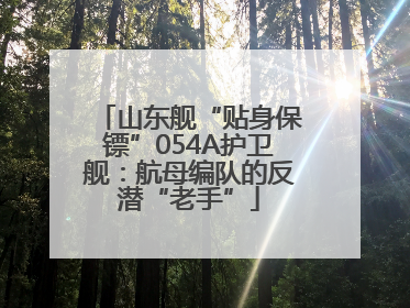 山东舰“贴身保镖”054A护卫舰：航母编队的反潜“老手”