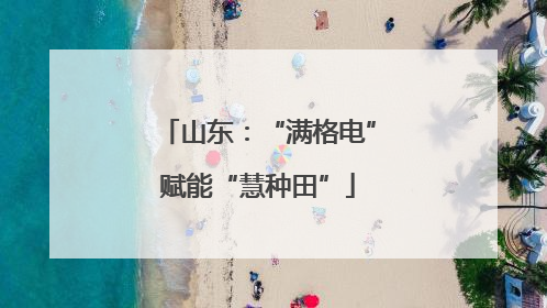 山东：“满格电”赋能“慧种田”