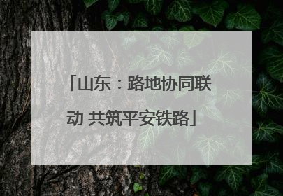 山东：路地协同联动 共筑平安铁路