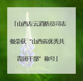 山西左云消防员司志强荣获“山西省优秀共青团干部”称号