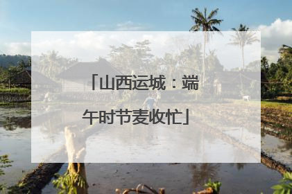 山西运城：端午时节麦收忙