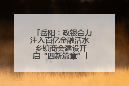 岳阳：政银合力注入百亿金融活水 乡镇商会建设开启“四新篇章”