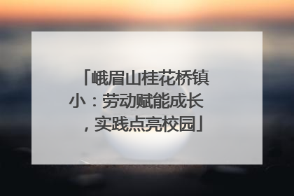 峨眉山桂花桥镇小：劳动赋能成长，实践点亮校园
