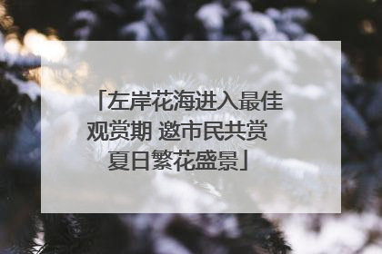 左岸花海进入最佳观赏期 邀市民共赏夏日繁花盛景