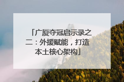 广厦夺冠启示录之二：外援赋能，打造本土核心架构