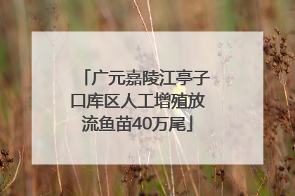 广元嘉陵江亭子口库区人工增殖放流鱼苗40万尾