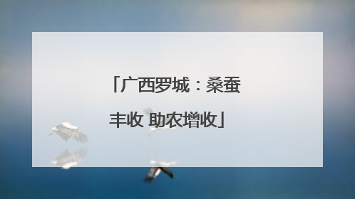 广西罗城：桑蚕丰收 助农增收