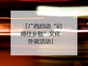 广西启动“记得住乡愁”文化外宣活动