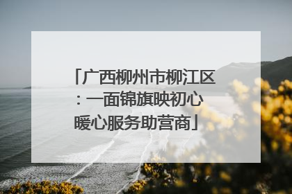 广西柳州市柳江区：一面锦旗映初心 暖心服务助营商