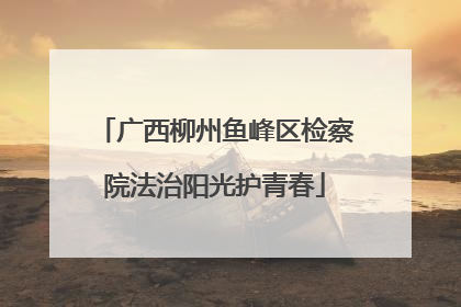 广西柳州鱼峰区检察院法治阳光护青春