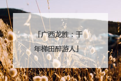 广西龙胜：千年梯田醉游人