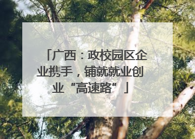 广西：政校园区企业携手，铺就就业创业“高速路”