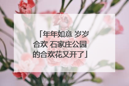 年年如意 岁岁合欢 石家庄公园的合欢花又开了